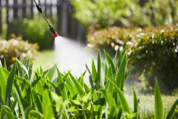 Tamper-Resistant Bait Stations for Rodents in Fayette
