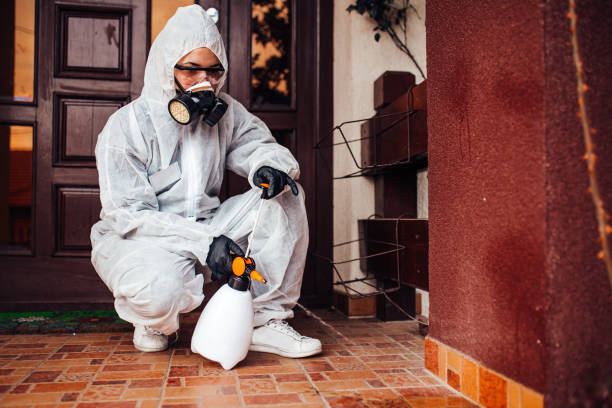 Attic and Crawl Space Rodent Treatment in Fayette
