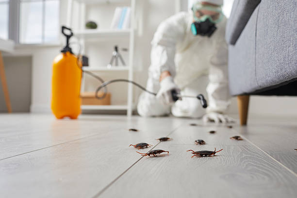 Commercial Rodent Management in Fayette